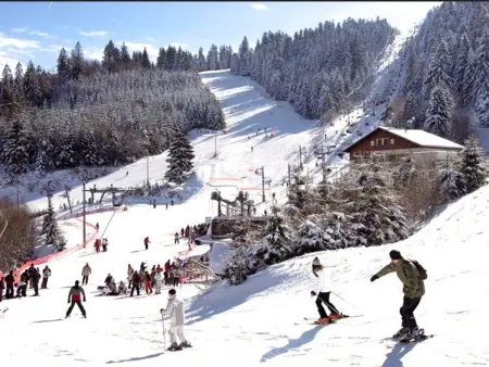 Chalet chaleureux à Gérardmer, vue pistes, 4 pers. - Photo 25
