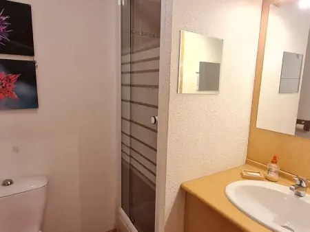 Chalets d'Or D, Appartement 5 personnes à Les Deux Alpes - Photo 7