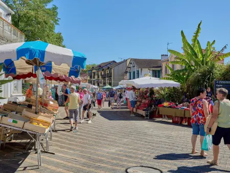 T2 lumineux à Barbotan avec Wifi et animaux admis - Photo 11