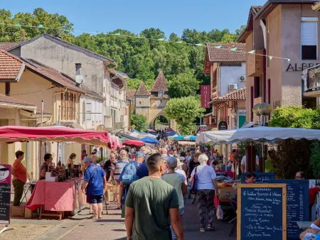 T2 cosy, jardinet, animaux admis, parking et WiFi - Photo 14
