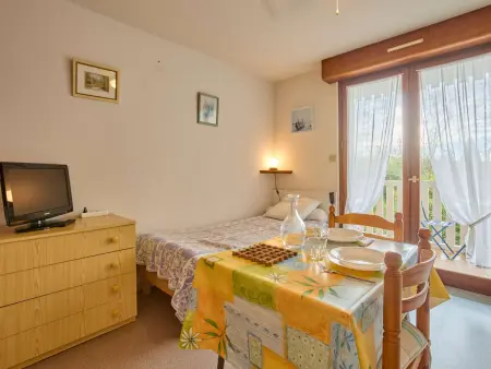 Studio confort, proche thermes, WIFI, animal accepté - Photo 4