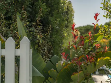 Villa moderne près de Sesimbra avec piscine et jardin - Photo 22