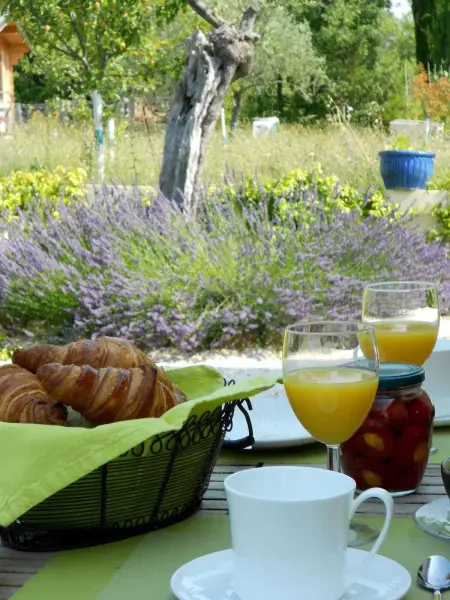 Appartement charmant à Seillans avec piscine, Appartement 4 personnes à Seillans - Photo 9