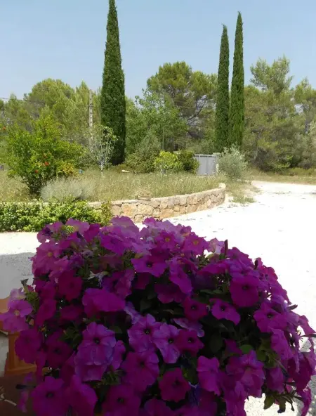 Appartement charmant à Seillans avec piscine, Appartement 4 personnes à Seillans - Photo 10