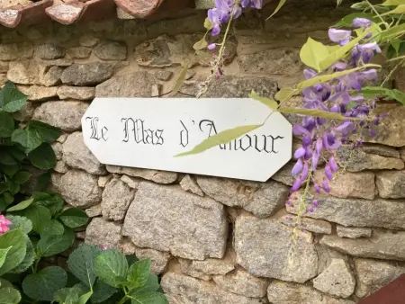 Le Mas dAmour, Rustique maison de campagne avec cour et bainspa - Photo 53