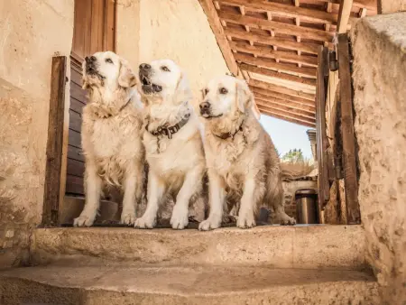 Le Mas dAmour, Rustique maison de campagne avec cour et bainspa - Photo 54