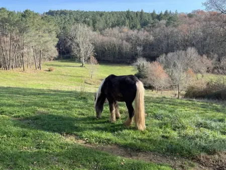 Le Mas dAmour, Rustique maison de campagne avec cour et bainspa - Photo 57