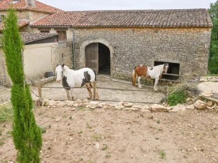 Le Mas dAmour, Rustique maison de campagne avec cour et bainspa - Photo 58