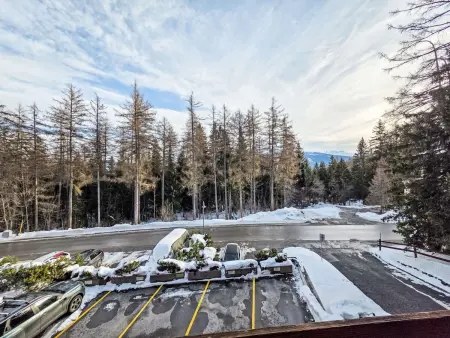 Reseda 3.23, Appartement 4 personnes à Crans Montana - Photo 25