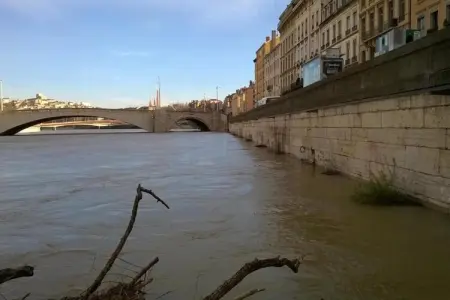 CC-3-VIVANT, DIFY Lucky - 10 Min centre de Lyon - Photo 13