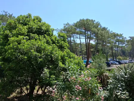 Appartement T2 à Seignosse - Plages et Commerces à Pied - Photo 13