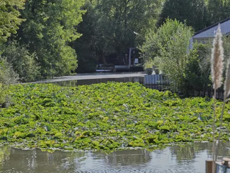 Ooievaarsnest, Maison de vacances confortable au bord de l'eau - Photo 39