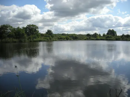 Gîtes avec piscine partagée dans la Brenne, proche sites historiques - Photo 17