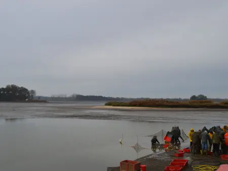 Charmante étable rénovée avec piscine et parking dans la Brenne - Photo 10