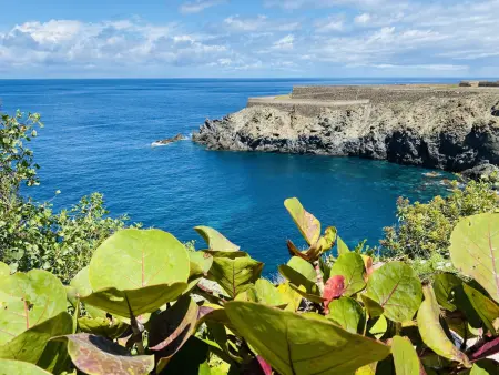 Studio lumineux avec vue sur mer à Icod de los Vinos - Photo 19