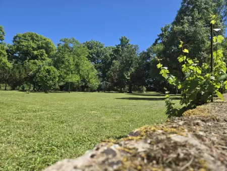 Gîte de Charme à Souvigny : Histoire, Nature & Sérénité - Photo 6