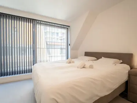 Seabird I with terrace, Appartement 4 personnes à Blankenberge - Photo 16