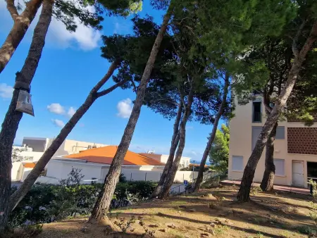 Appart T2 RDC, loggia, vue mer à Banyuls-sur-Mer - Photo 15