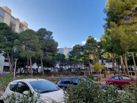 Appart T2 RDC, loggia, vue mer à Banyuls-sur-Mer - Photo 16