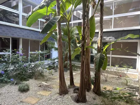 T2 rénové à 100m de la plage avec balcon et parking privé - Photo 11