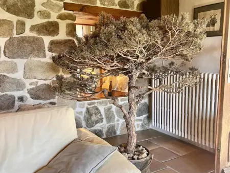 Domaine de Campagne : Grands Gîtes avec Piscine, Spa, Animaux Bienvenus - Photo 19