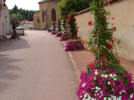 Gîte familial au cœur de la Côte Roannaise - Animaux admis - Photo 15