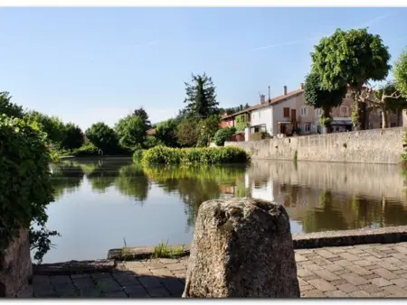 Gîte familial au cœur de la Côte Roannaise - Animaux admis - Photo 17
