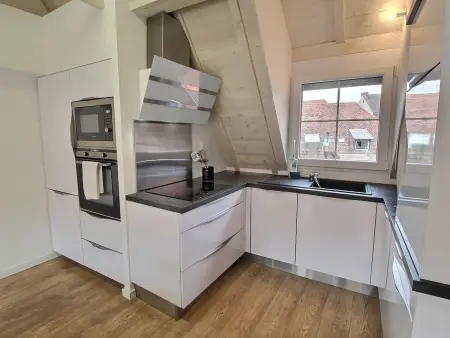 Duplex élégant pour 4 pers avec garage au centre de Colmar - Photo 1