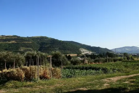 Casetto, Appartement rustique à Modigliana avec piscine - Photo 33