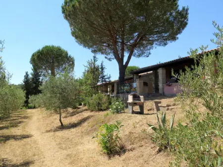 Il Borgo, Maison 8 personnes à Guardistallo - Photo 5