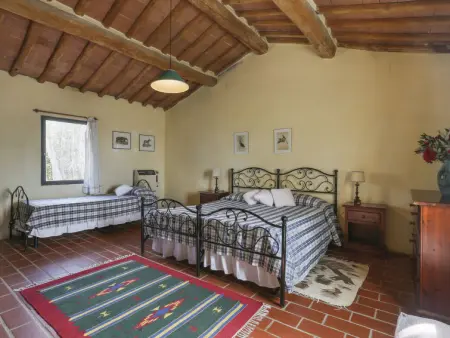 Favilli (PAA130), Maison 9 personnes à Palaia - Photo 15