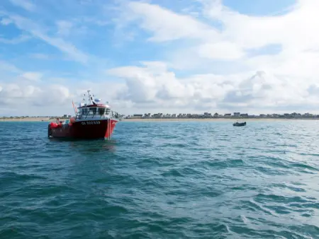 Zoé, Maison 4 personnes à Créances - Photo 20