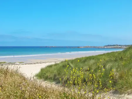 Manoir des Halles, Gite 6 personnes à Plouescat - Photo 41