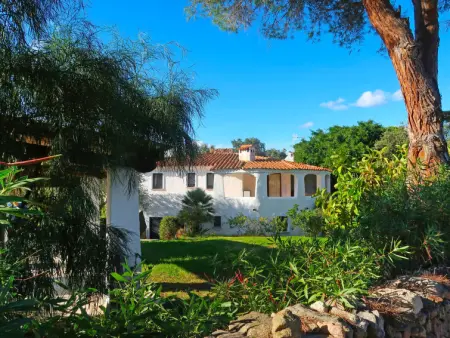 Omer, Maison 10 personnes à San Teodoro - Photo 4