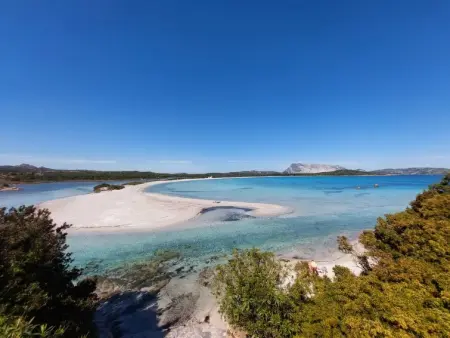 Omer, Maison 10 personnes à San Teodoro - Photo 46
