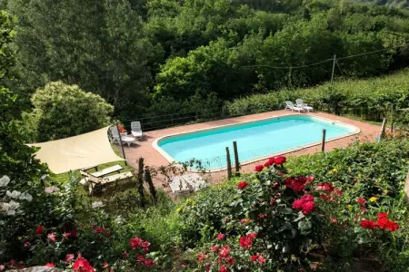 Camino, Ferme à Modigliana avec vue panoramique - Photo 1