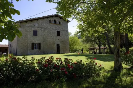 Camino, Ferme à Modigliana avec vue panoramique - Photo 11
