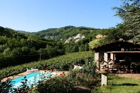 Camino, Ferme à Modigliana avec vue panoramique - Photo 15