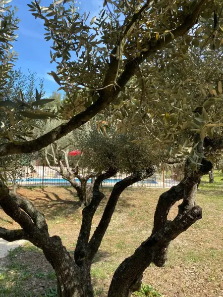 Villa spacieuse avec piscine à Saint-Michel-d'Euzet - Photo 5