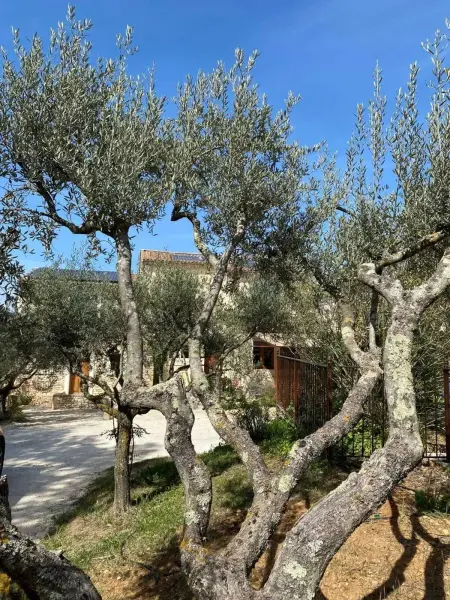 Villa spacieuse avec piscine à Saint-Michel-d'Euzet - Photo 10