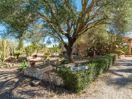 Ses Terrasses, Maison 6 personnes à Porreres - Photo 40