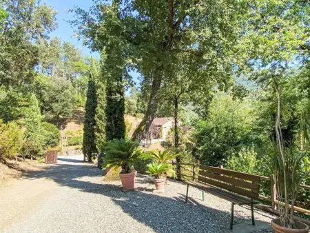 Alle Piane, Maison 4 personnes à Lucca - Photo 40