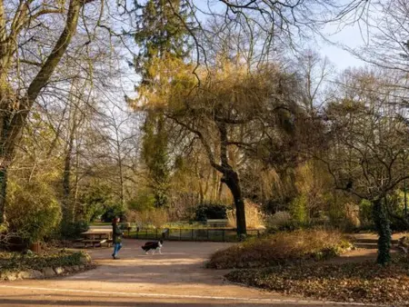 Charmant T2 près des Thermes de Nancy avec accueil chaleureux et tout inclus - Photo 9