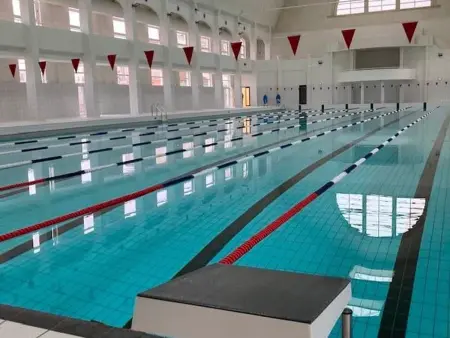 Charmant T2 près des Thermes de Nancy avec accueil chaleureux et tout inclus - Photo 12