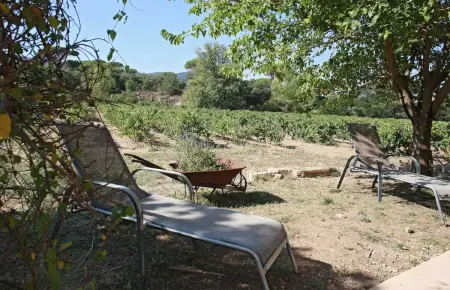 Maison charmante près des vignes - 80 m², Maison 5 personnes à La Garde Freinet - Photo 34