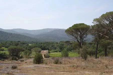 Maison charmante près des vignes - 80 m², Maison 5 personnes à La Garde Freinet - Photo 56