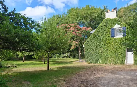 Maison 8 personnes à Névez - Photo 6