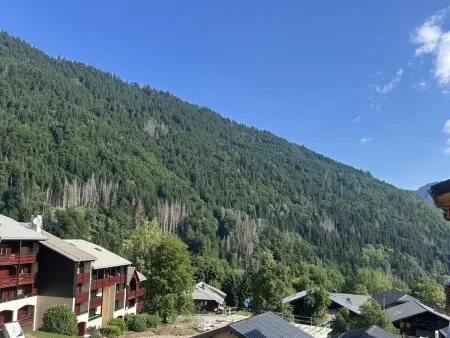 Appartement spacieux au centre, près télécabine, terrasse - Photo 12