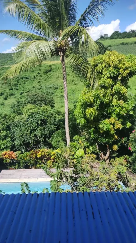 Belle villa avec piscine privée à Le Carbet, Villa 6 personnes à Le Carbet - Photo 21