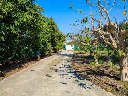 Villa Estévez, Gite 7 personnes à Motril - Photo 39